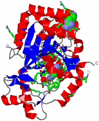 Image Asym./Biol. Unit - sites