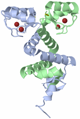 Image Asym./Biol. Unit