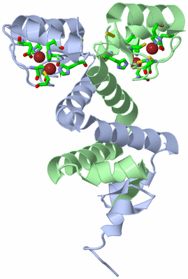 Image Asym./Biol. Unit - sites