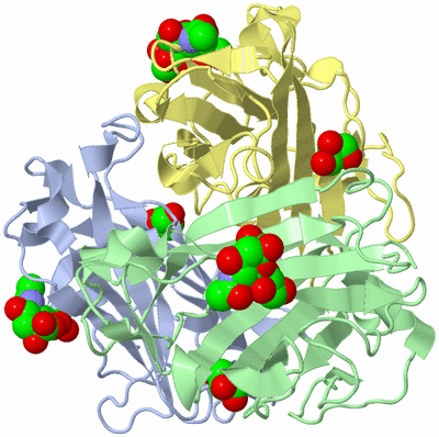 Image Biological Unit 1