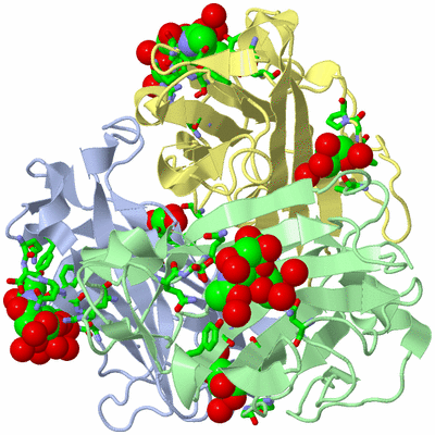 Image Biol. Unit 1 - sites