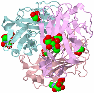 Image Biological Unit 2