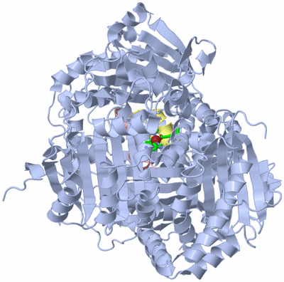 Image Biol. Unit 1 - sites