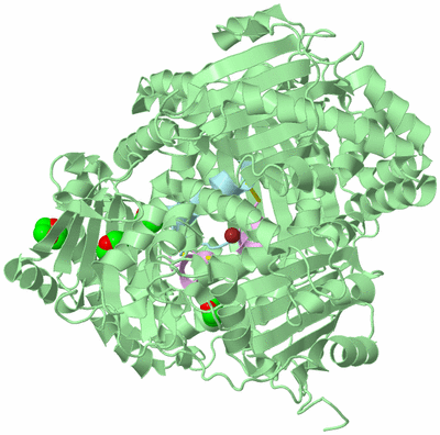 Image Biological Unit 2