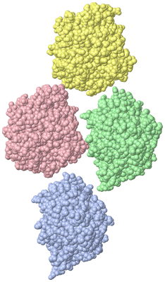 Image Asymmetric Unit