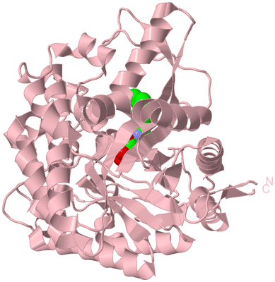 Image Biological Unit 3