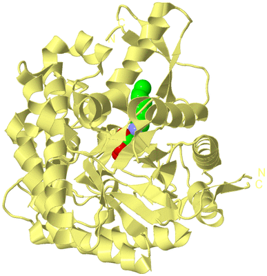 Image Biological Unit 4