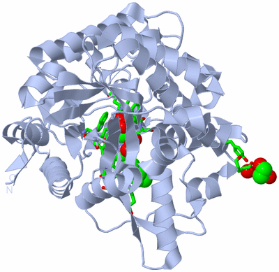 Image Biol. Unit 1 - sites