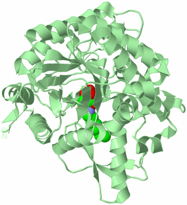 Image Biological Unit 2