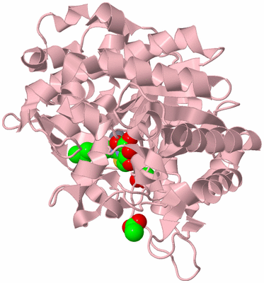 Image Biological Unit 3