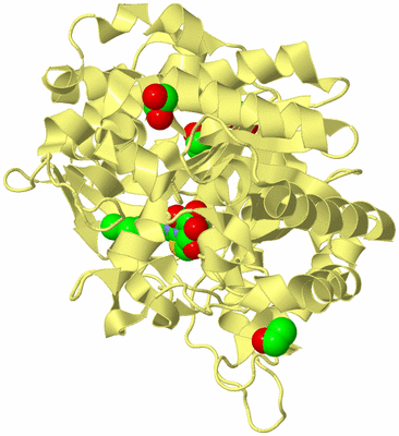 Image Biological Unit 4