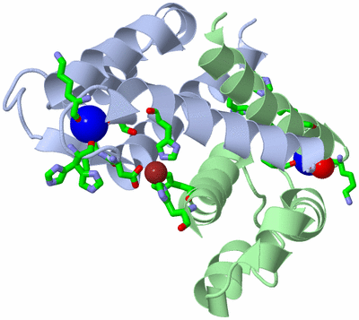 Image Asym./Biol. Unit - sites