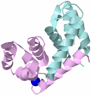 Image Biological Unit 3