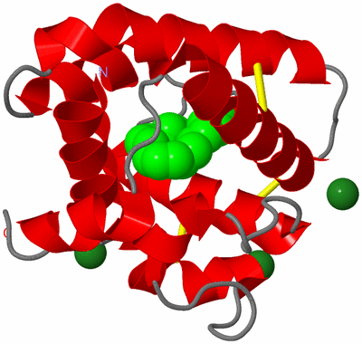 Image Asym./Biol. Unit