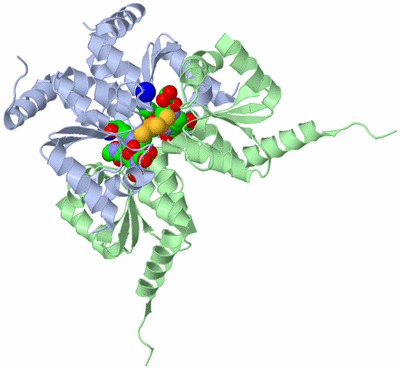 Image Biological Unit 1