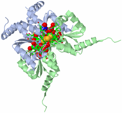 Image Biol. Unit 1 - sites