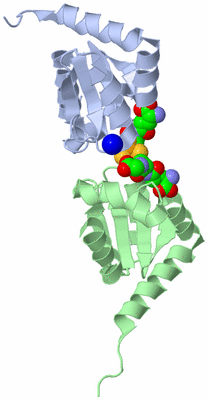 Image Biological Unit 2