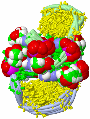 Image NMR Structure - all models