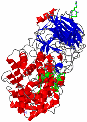 Image Asym./Biol. Unit - sites