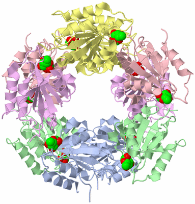 Image Biological Unit 1