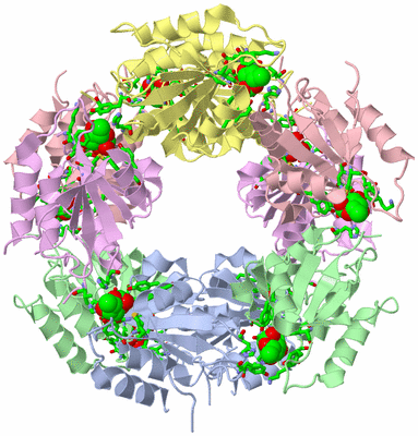 Image Biol. Unit 1 - sites