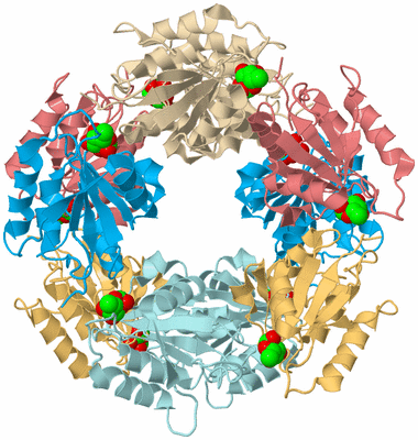 Image Biological Unit 2