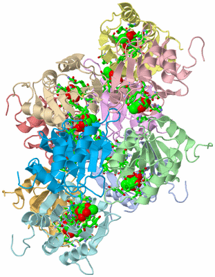 Image Asym. Unit - sites