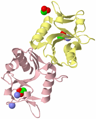 Image Biological Unit 2