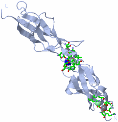 Image Biol. Unit 1 - sites