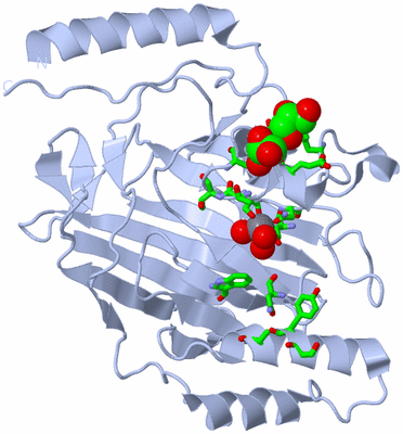 Image Biol. Unit 1 - sites