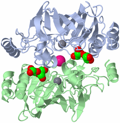 Image Biological Unit 3