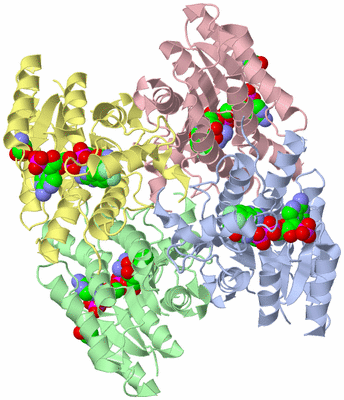 Image Asym./Biol. Unit