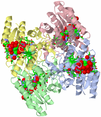 Image Asym./Biol. Unit - sites