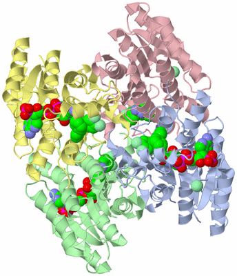 Image Asym./Biol. Unit