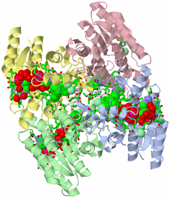 Image Asym./Biol. Unit - sites