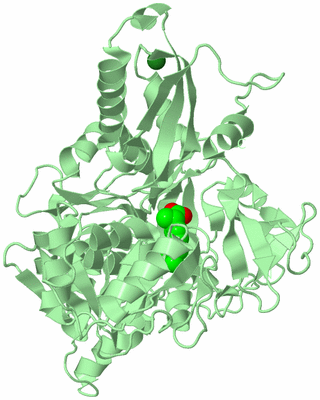 Image Biological Unit 2