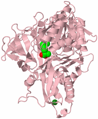 Image Biological Unit 3