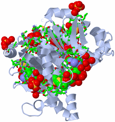 Image Biol. Unit 1 - sites