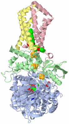 Image Biological Unit 1