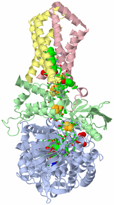 Image Biol. Unit 1 - sites