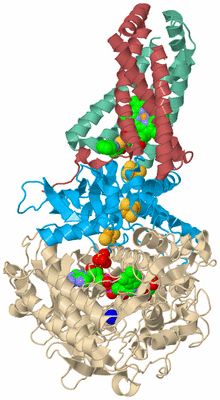 Image Biological Unit 2