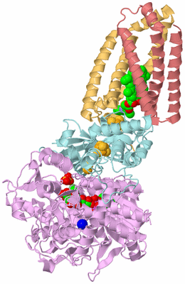 Image Biological Unit 3