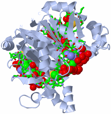 Image Biol. Unit 1 - sites