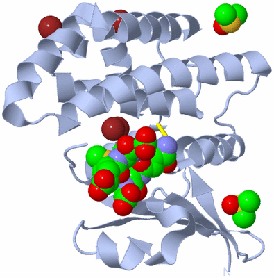 Image Biological Unit 1