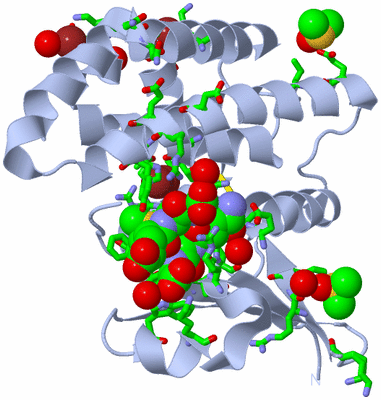 Image Biol. Unit 1 - sites