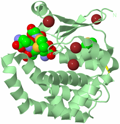 Image Biological Unit 2