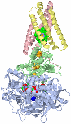 Image Biological Unit 1