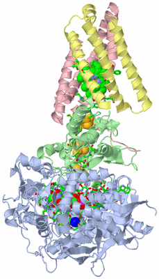 Image Biol. Unit 1 - sites