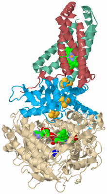 Image Biological Unit 3