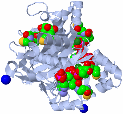 Image Biological Unit 1